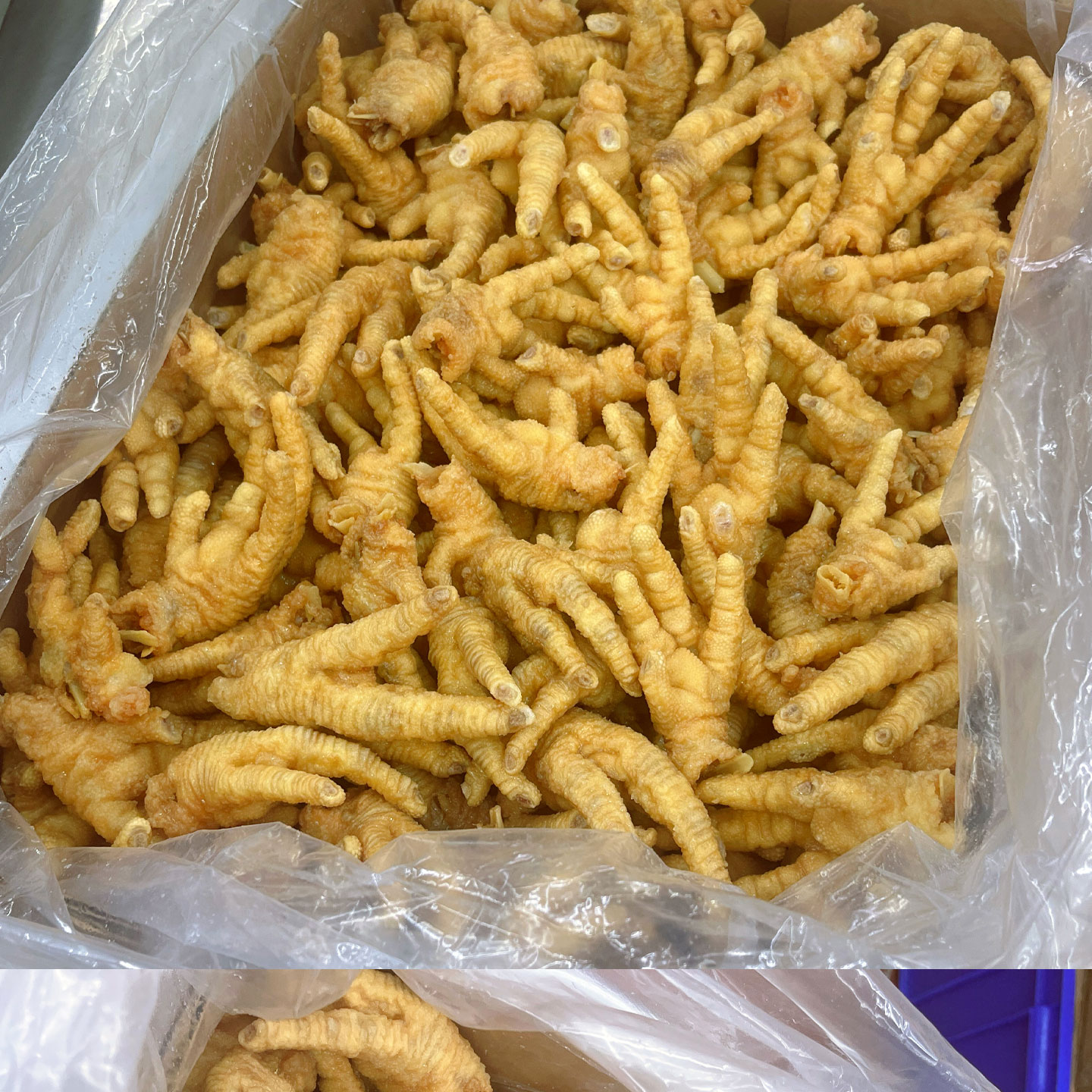 凤爪1_04.jpg