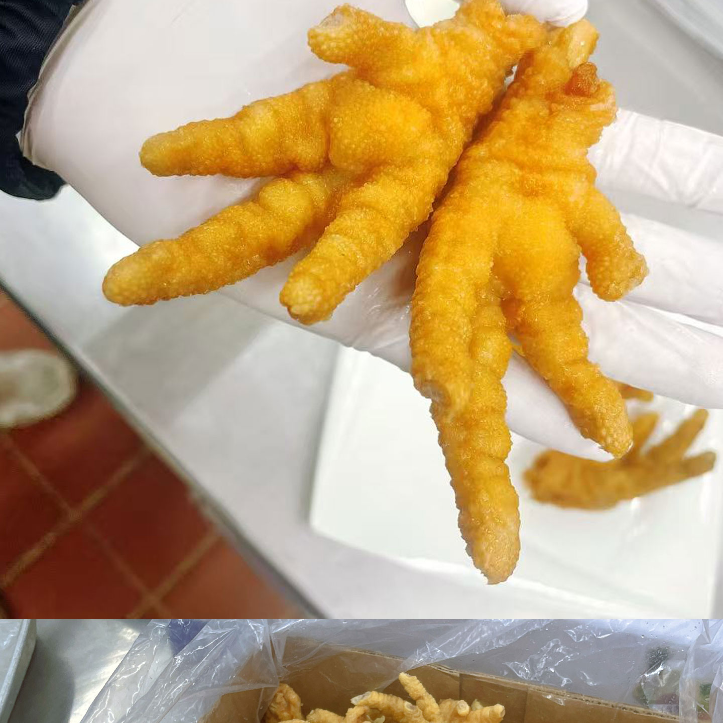凤爪1_03.jpg